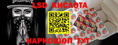 прущие грибы Анапа