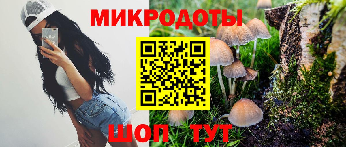 Псилоцибиновые грибы MAGIC MUSHROOMS Артёмовский