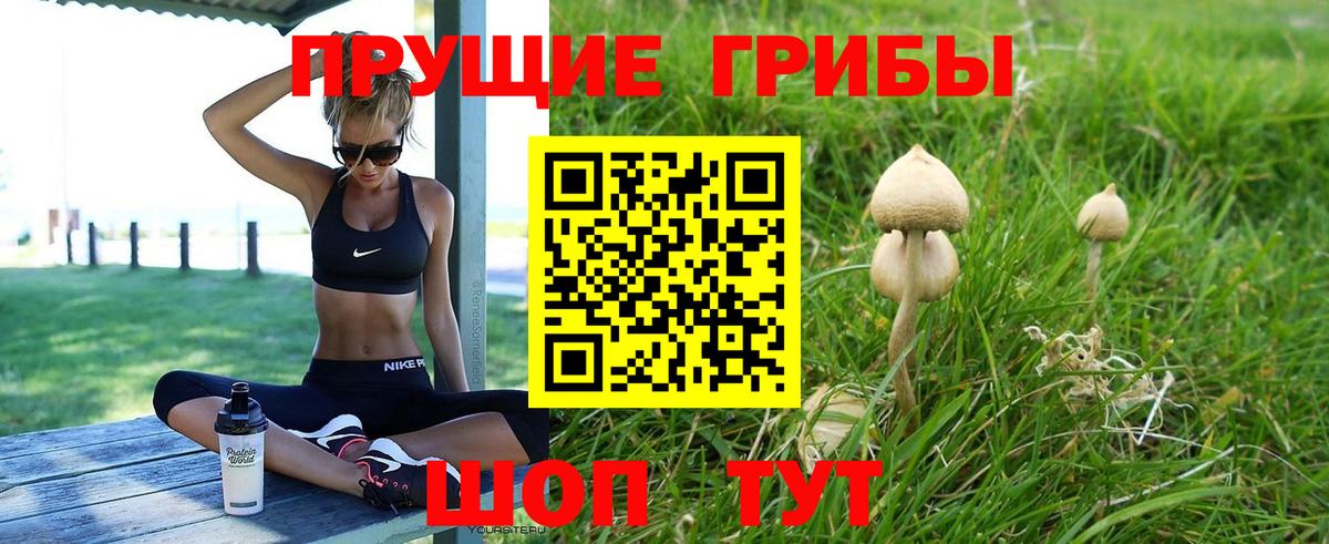 Артёмовский  Галлюциногенные грибы MAGIC MUSHROOMS  Вход с VPN  где купить   Псилоцибиновые грибы мицелий 
